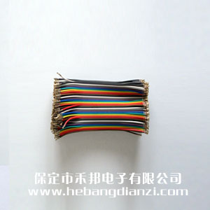 2.0杜邦(bāng)线10cm
