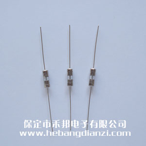 带引线保险3.6*10mm 0.5A 快熔